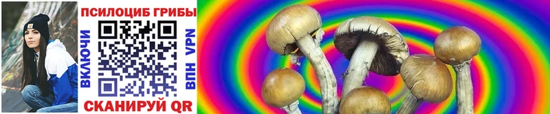 купить наркотик  Уяр  Псилоцибиновые грибы Psilocybine cubensis 